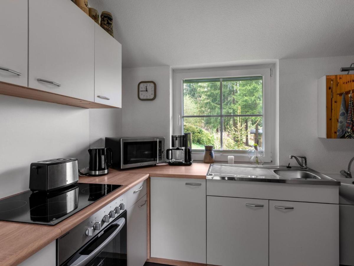 Holiday Home Near The Oberhof Ski Resort Kurort Steinbach-Hallenberg 外观 照片